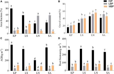 Effects of vegetation patchiness on ecosystem carbon and nitrogen storage in the alpine grassland of the Qilian Mountains